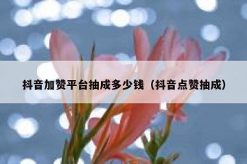 抖音加赞平台抽成多少钱（抖音点赞抽成）