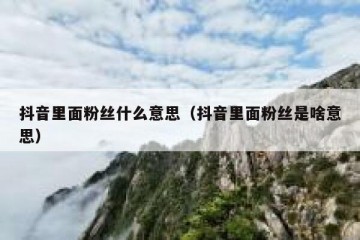 抖音里面粉丝什么意思（抖音里面粉丝是啥意思）