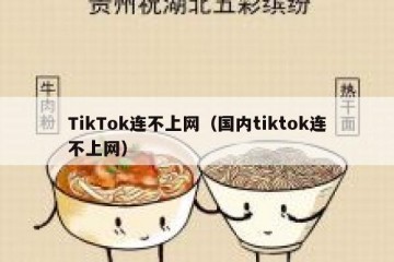 TikTok连不上网（国内tiktok连不上网）