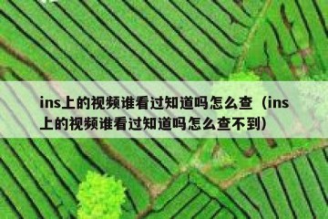 ins上的视频谁看过知道吗怎么查（ins上的视频谁看过知道吗怎么查不到）