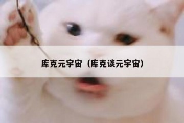 库克元宇宙（库克谈元宇宙）
