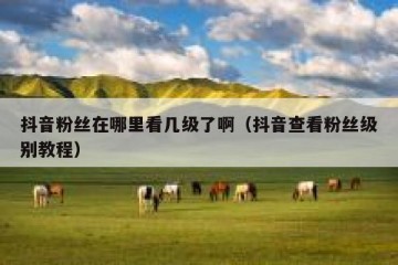 抖音粉丝在哪里看几级了啊（抖音查看粉丝级别教程）