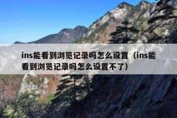 ins能看到浏览记录吗怎么设置（ins能看到浏览记录吗怎么设置不了）