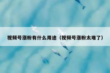 视频号涨粉有什么用途（视频号涨粉太难了）