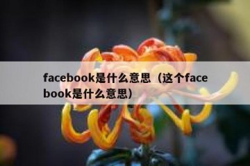 facebook是什么意思（这个facebook是什么意思）