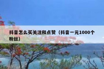 抖音怎么买关注和点赞（抖音一元1000个粉丝）