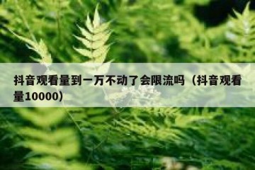 抖音观看量到一万不动了会限流吗（抖音观看量10000）