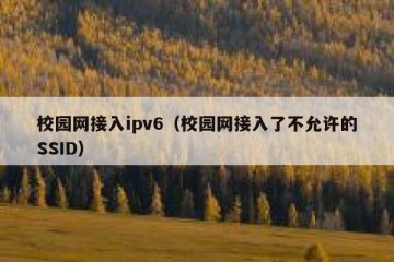 校园网接入ipv6（校园网接入了不允许的SSID）