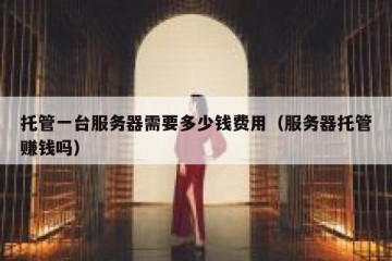 托管一台服务器需要多少钱费用（服务器托管赚钱吗）