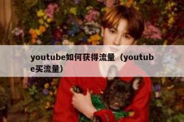 youtube如何获得流量（youtube买流量）
