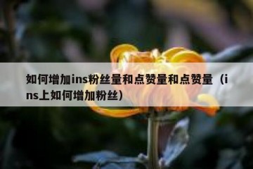 如何增加ins粉丝量和点赞量和点赞量（ins上如何增加粉丝）