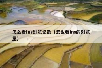 怎么看ins浏览记录（怎么看ins的浏览量）