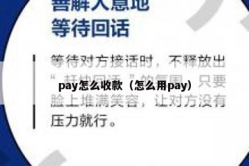 pay怎么收款（怎么用pay）