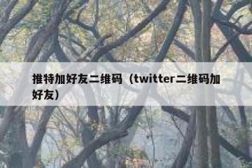 推特加好友二维码（twitter二维码加好友）