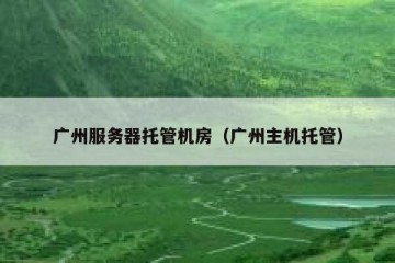 广州服务器托管机房（广州主机托管）
