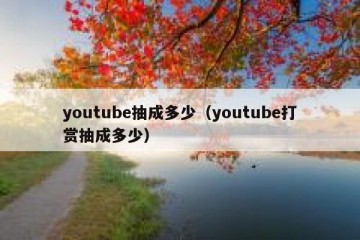 youtube抽成多少（youtube打赏抽成多少）