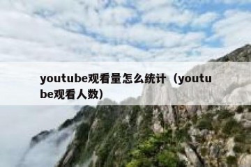 youtube观看量怎么统计（youtube观看人数）