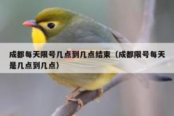 成都每天限号几点到几点结束（成都限号每天是几点到几点）