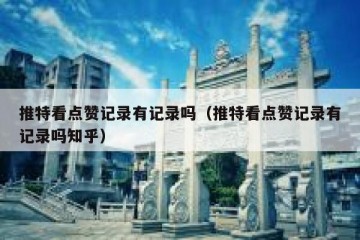 推特看点赞记录有记录吗（推特看点赞记录有记录吗知乎）