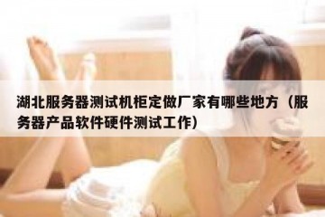 湖北服务器测试机柜定做厂家有哪些地方（服务器产品软件硬件测试工作）