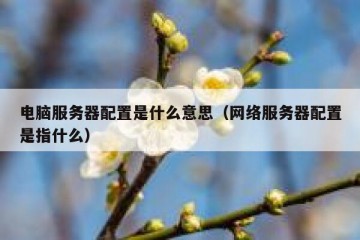 电脑服务器配置是什么意思（网络服务器配置是指什么）
