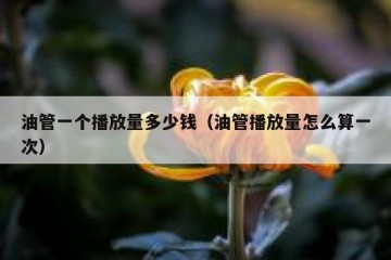 油管一个播放量多少钱（油管播放量怎么算一次）