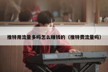 推特用流量多吗怎么赚钱的（推特费流量吗）