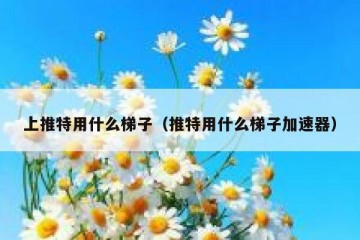 上推特用什么梯子（推特用什么梯子加速器）