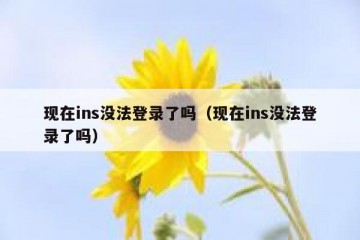 现在ins没法登录了吗（现在ins没法登录了吗）