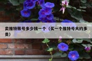 卖推特账号多少钱一个（买一个推特号大约多贵）