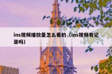 ins视频播放量怎么看的（ins视频有记录吗）
