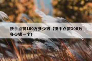 快手点赞100万多少钱（快手点赞100万多少钱一个）