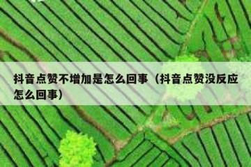 抖音点赞不增加是怎么回事（抖音点赞没反应怎么回事）