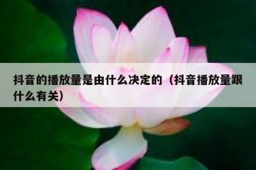 抖音的播放量是由什么决定的（抖音播放量跟什么有关）