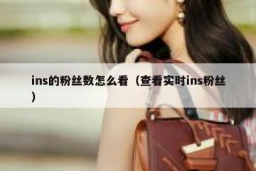 ins的粉丝数怎么看（查看实时ins粉丝）