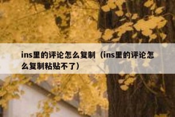 ins里的评论怎么复制（ins里的评论怎么复制粘贴不了）