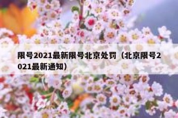 限号2021最新限号北京处罚（北京限号2021最新通知）