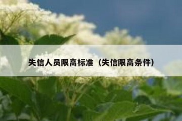 失信人员限高标准（失信限高条件）