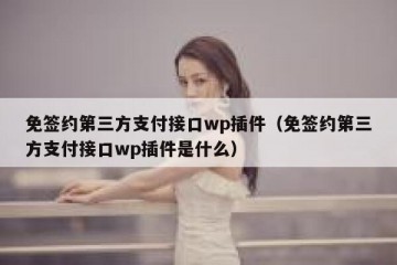 免签约第三方支付接口wp插件（免签约第三方支付接口wp插件是什么）