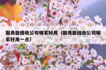 服务器回收公司哪家好用（服务器回收公司哪家好用一点）