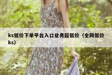ks低价下单平台入口业务超低价（全网低价ks）