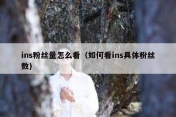 ins粉丝量怎么看（如何看ins具体粉丝数）