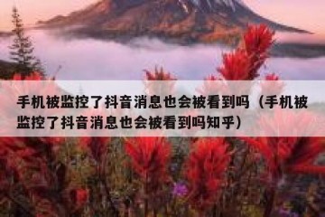 手机被监控了抖音消息也会被看到吗（手机被监控了抖音消息也会被看到吗知乎）