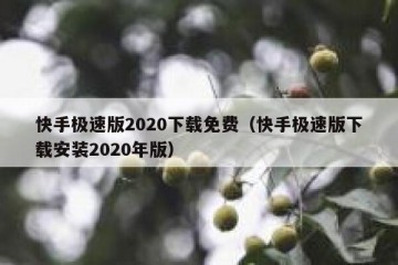 快手极速版2020下载免费（快手极速版下载安装2020年版）