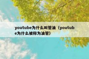 youtube为什么叫管油（youtube为什么被称为油管）