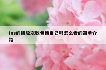 ins的播放次数包括自己吗怎么看的简单介绍
