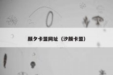 颜夕卡盟网址（汐颜卡盟）