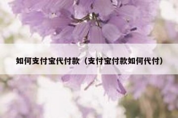 如何支付宝代付款（支付宝付款如何代付）
