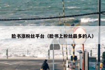 脸书涨粉丝平台（脸书上粉丝最多的人）