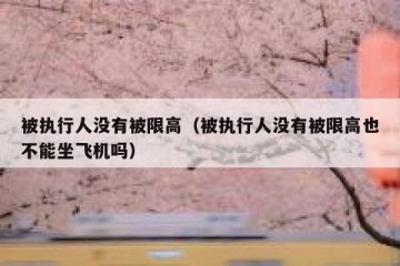 被执行人没有被限高（被执行人没有被限高也不能坐飞机吗）